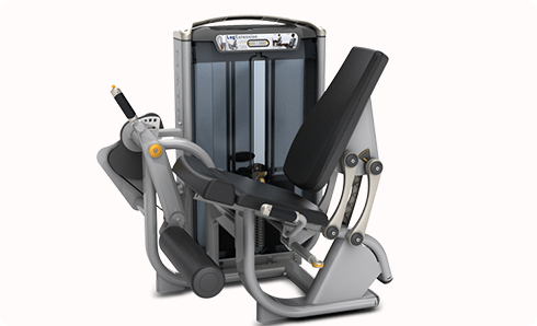 ������չӖ���C