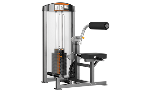 腹背肌伸展訓(xùn)練器