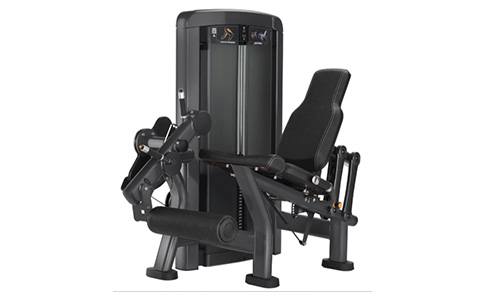 ���� ������չӖ����