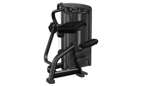 ���� ���^����չӖ����