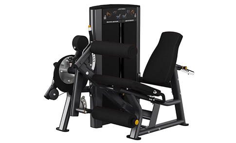 �����Ȳ���������չӖ����