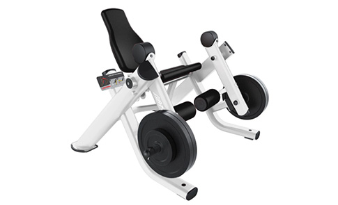 ������չӖ���� 