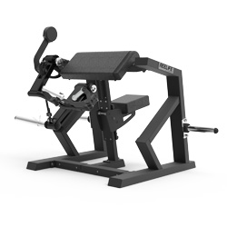  坐式二頭肌彎舉訓練器