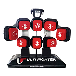 擊打力訓練測試系統 Speed & Punch