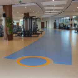 多功能運動地板